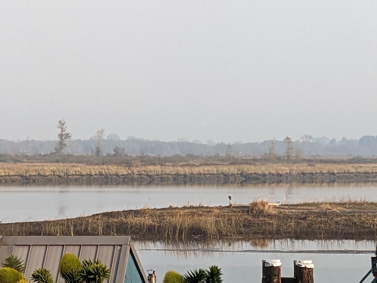 Ladner Reach Properties photo 2