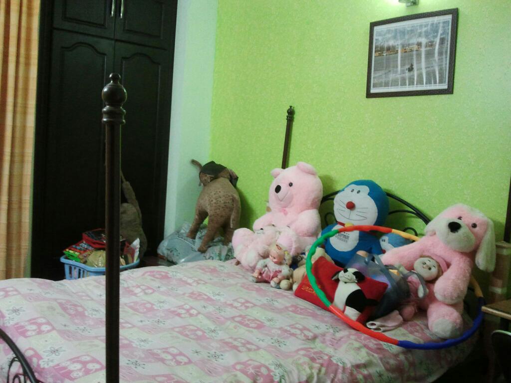 Amrapali Grand Apartment photo 2