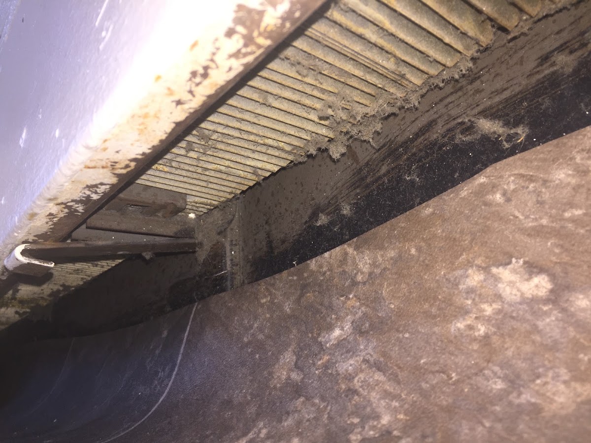 Alpha Property Management photo 1